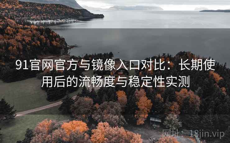 91官网官方与镜像入口对比：长期使用后的流畅度与稳定性实测