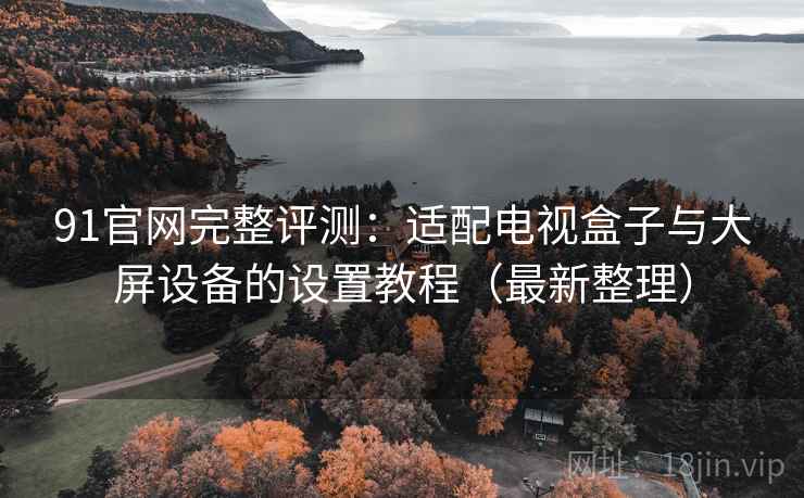 91官网完整评测：适配电视盒子与大屏设备的设置教程（最新整理）