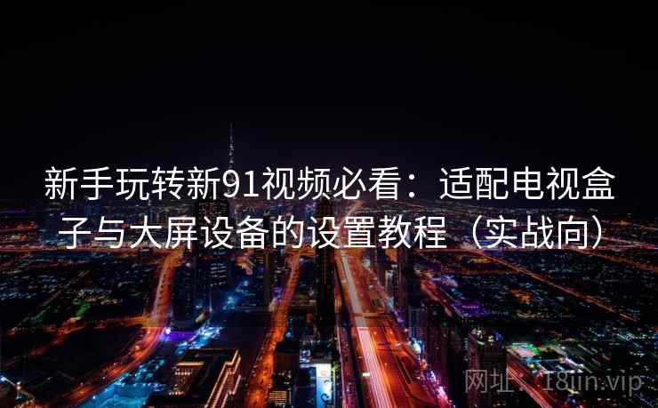 新手玩转新91视频必看：适配电视盒子与大屏设备的设置教程（实战向）