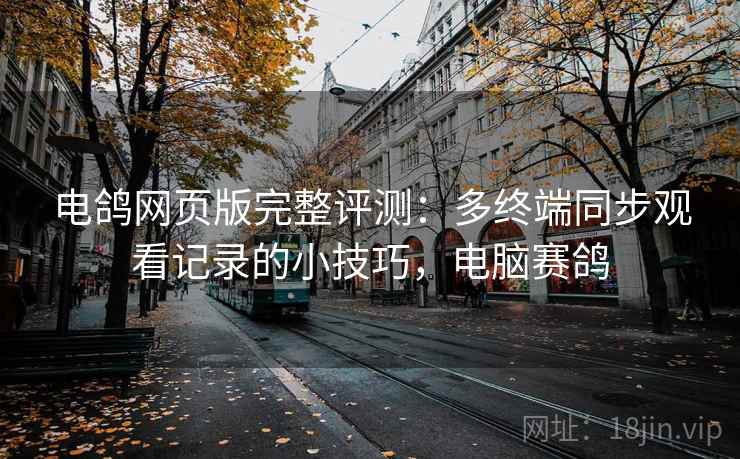 电鸽网页版完整评测：多终端同步观看记录的小技巧，电脑赛鸽