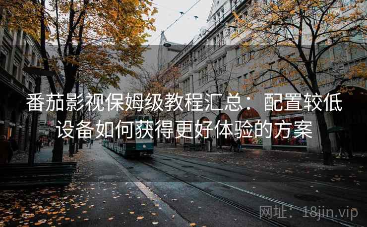 番茄影视保姆级教程汇总：配置较低设备如何获得更好体验的方案