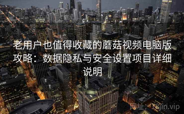老用户也值得收藏的蘑菇视频电脑版攻略：数据隐私与安全设置项目详细说明