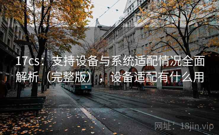 17cs：支持设备与系统适配情况全面解析（完整版），设备适配有什么用